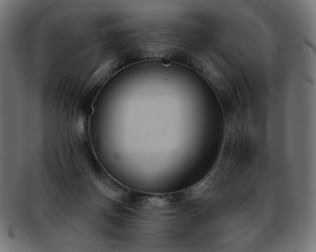 X0000093360166200710111501