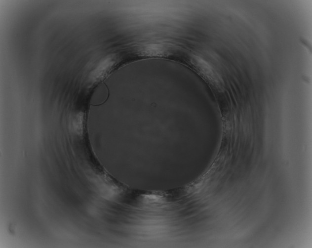 X0000093360167200710111501