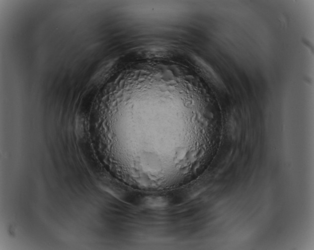 X0000093360169200710111501