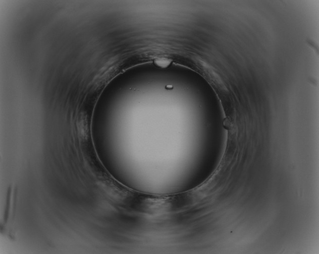 X0000093360170200710111501