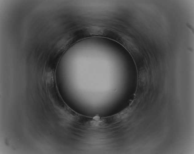 X0000093360172200710111501