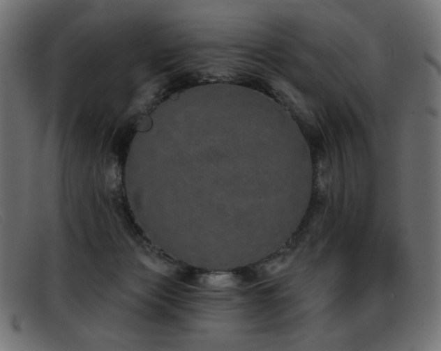 X0000093360173200710111501