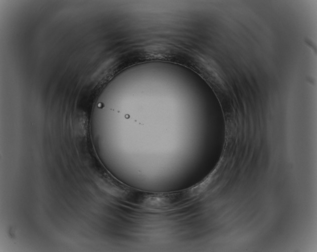 X0000093360174200710111501