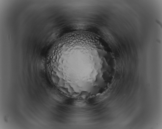 X0000093360175200710111501