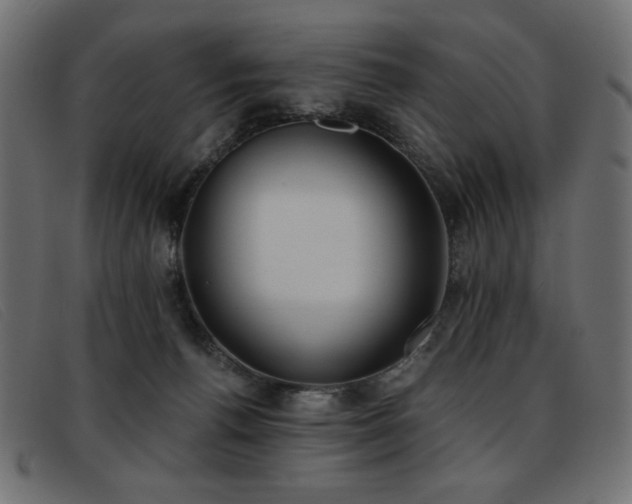 X0000093360176200710111501