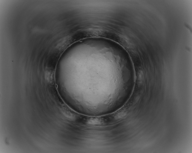 X0000093360177200710111501