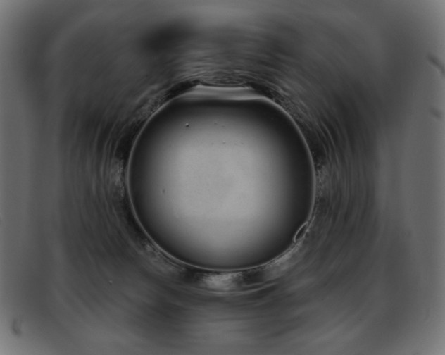 X0000093360178200710111501