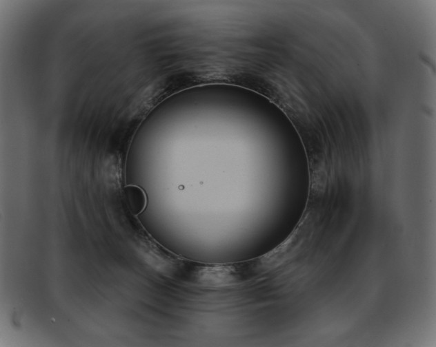 X0000093360179200710111501