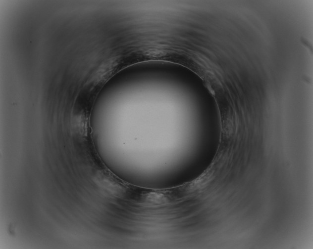 X0000093360180200710111501