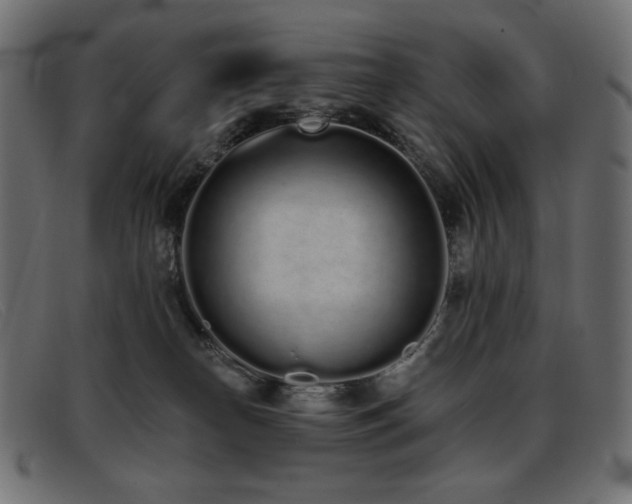 X0000093360182200710111501