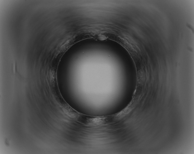 X0000093360184200710111501