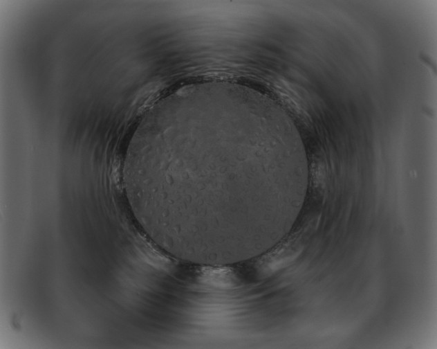 X0000093360185200710111501