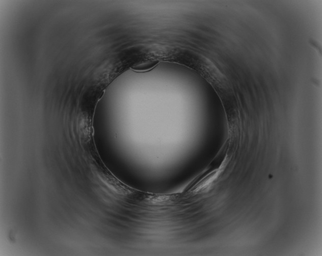 X0000093360186200710111501
