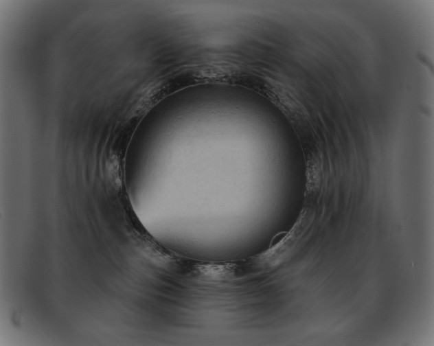 X0000093360187200710111501