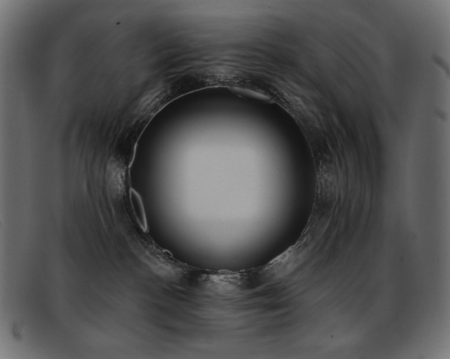 X0000093360188200710111501