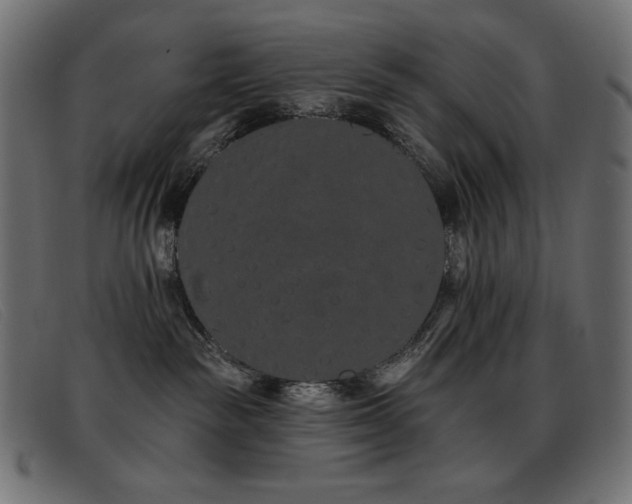 X0000093360189200710111501
