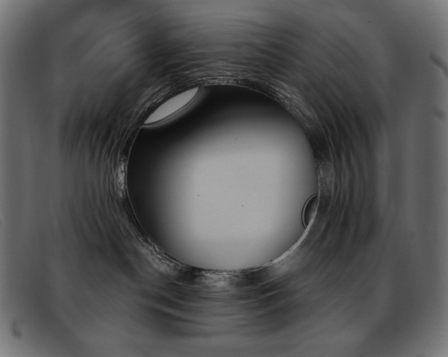 X0000093360190200710111501