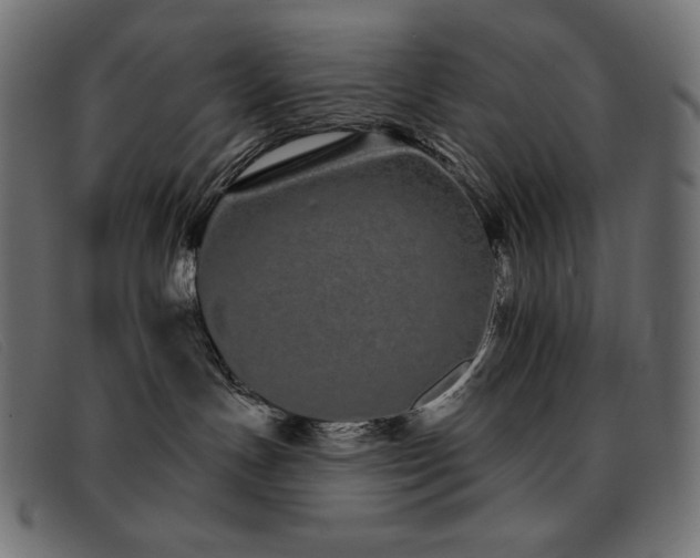 X0000093360191200710111501