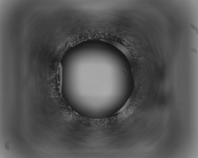 X0000093360192200710111501