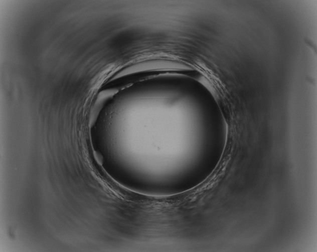 X0000093360193200710111501