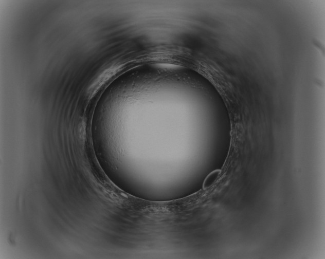 X0000093360194200710111501