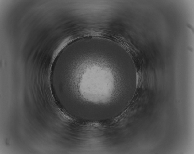 X0000093360195200710111501