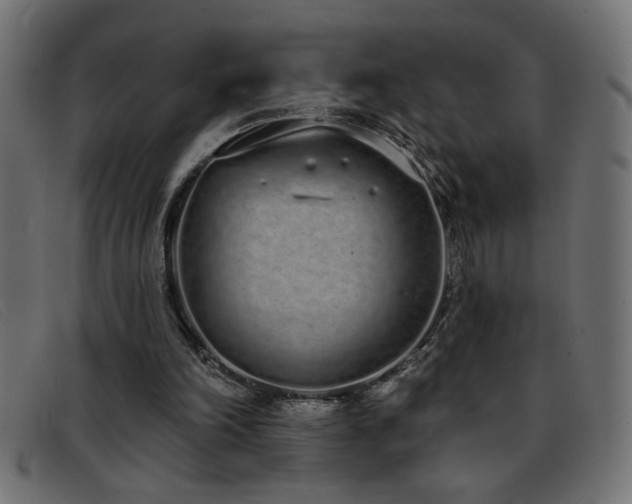 X0000093360198200710111501