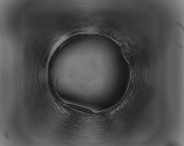 X0000093360200200710111501