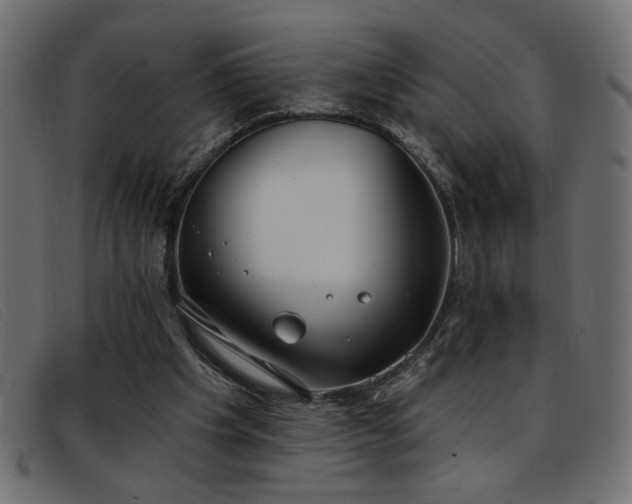 X0000093360201200710111501
