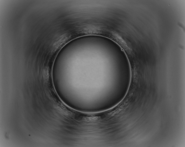 X0000093360202200710111501