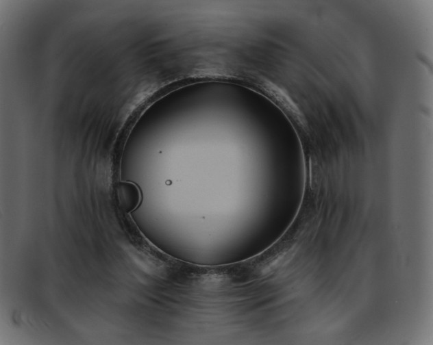 X0000093360204200710111501