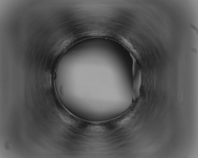 X0000093360205200710111501