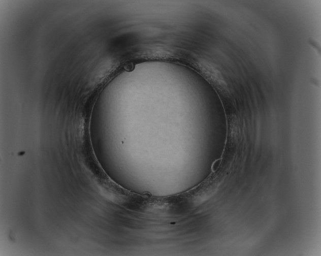 X0000093360206200710111501
