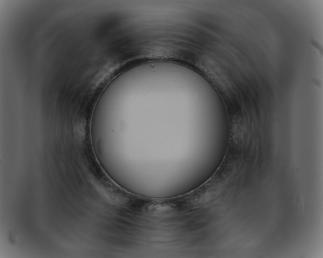 X0000093360208200710111500