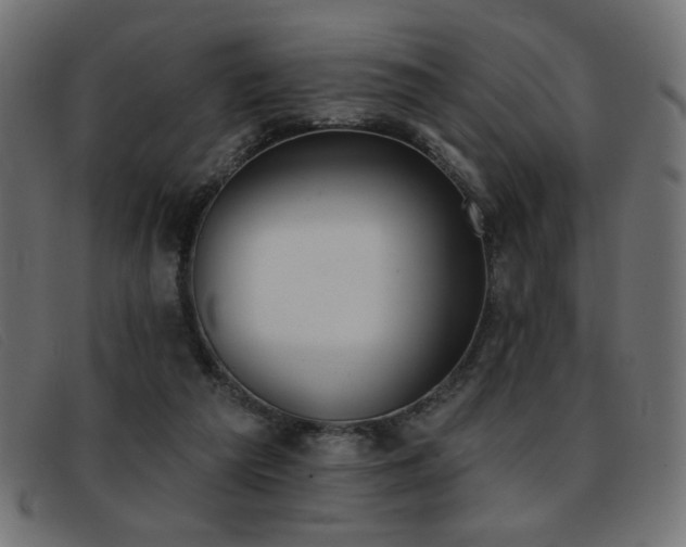 X0000093360209200710111500