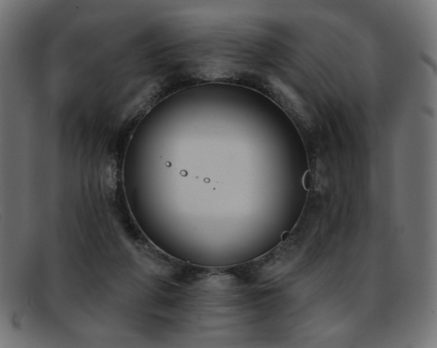 X0000093360210200710111500