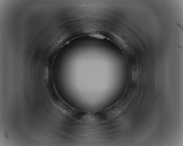 X0000093360211200710111500