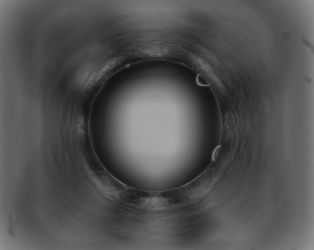 X0000093360212200710111500