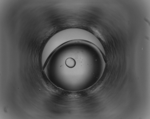 X0000093360213200710111500