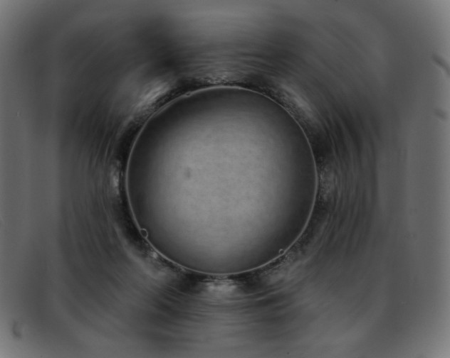 X0000093360214200710111500