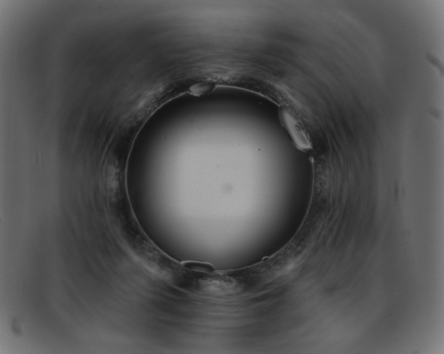 X0000093360215200710111500