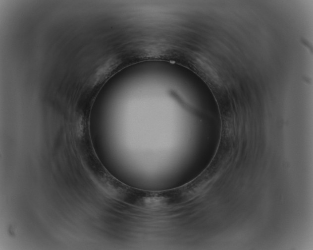 X0000093360216200710111500