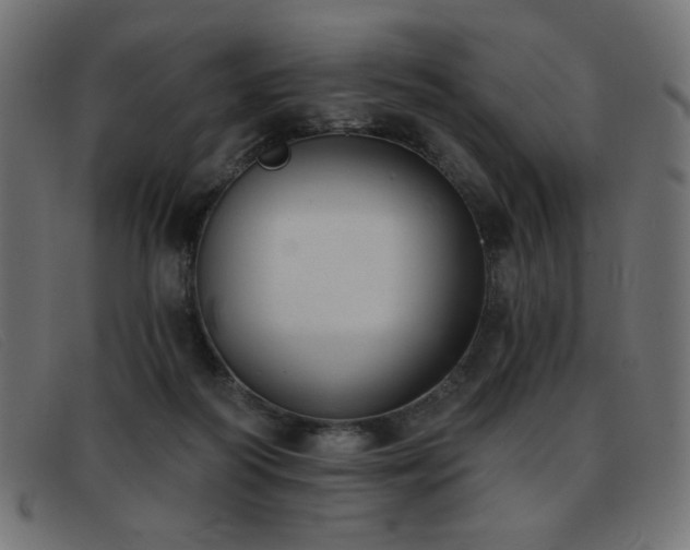 X0000093360218200710111500