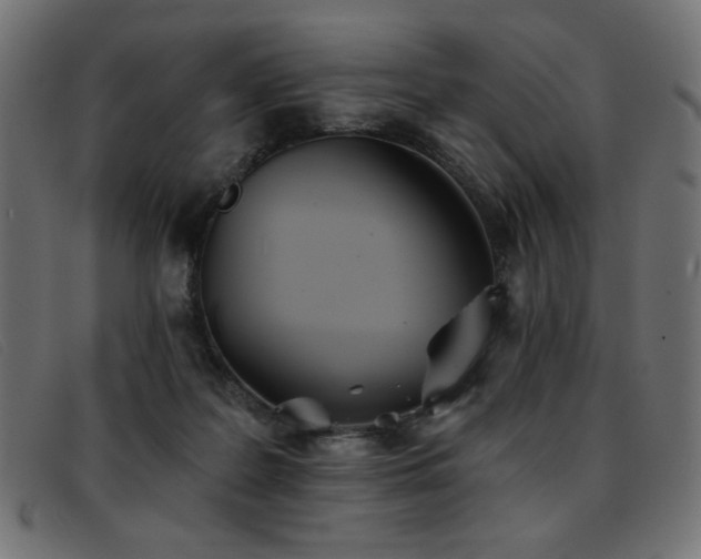 X0000093360219200710111500