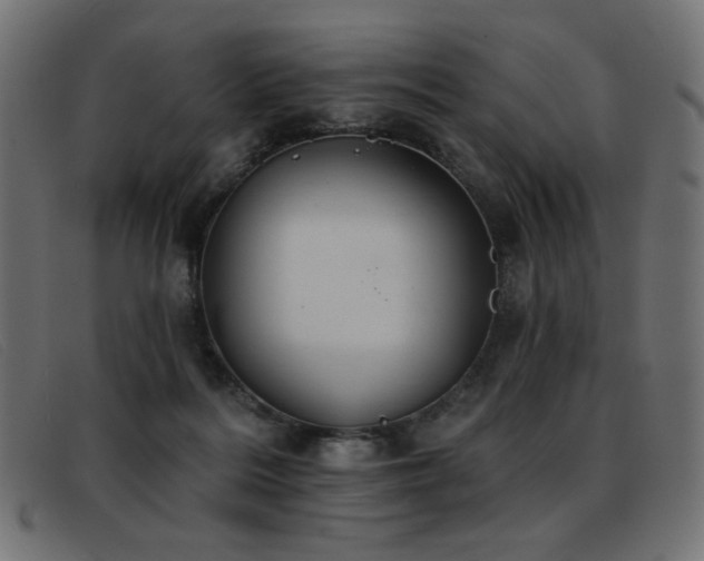 X0000093360220200710111500