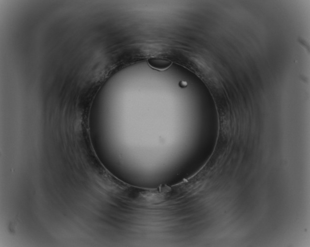 X0000093360221200710111500