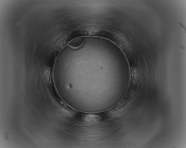 X0000093360222200710111500
