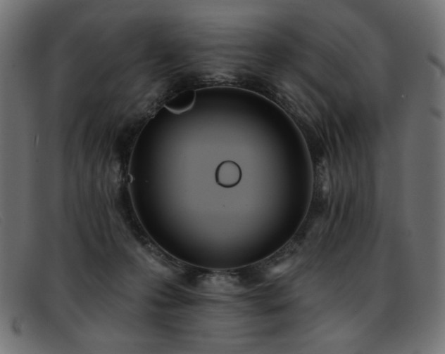 X0000093360223200710111500