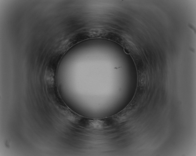 X0000093360226200710111500