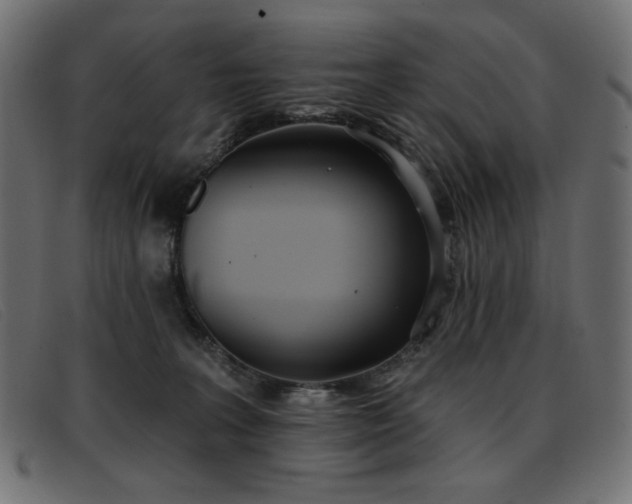 X0000093360227200710111500